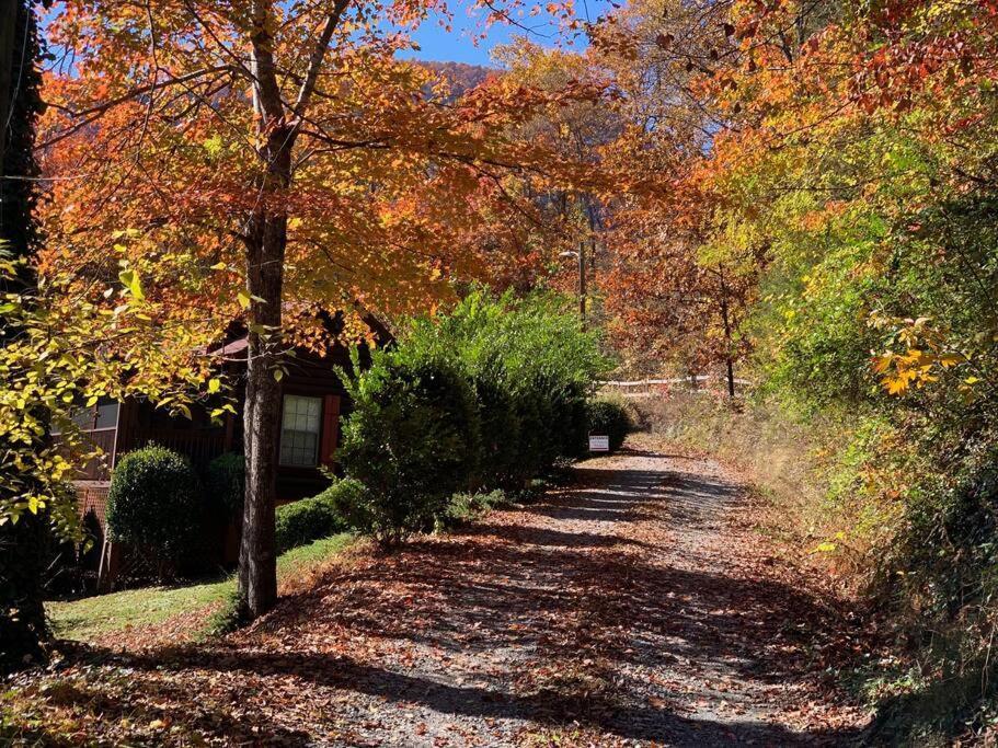 Walk To Lake Lure Chimney Rock From Autumn Splendor Cabin Villa Buitenkant foto